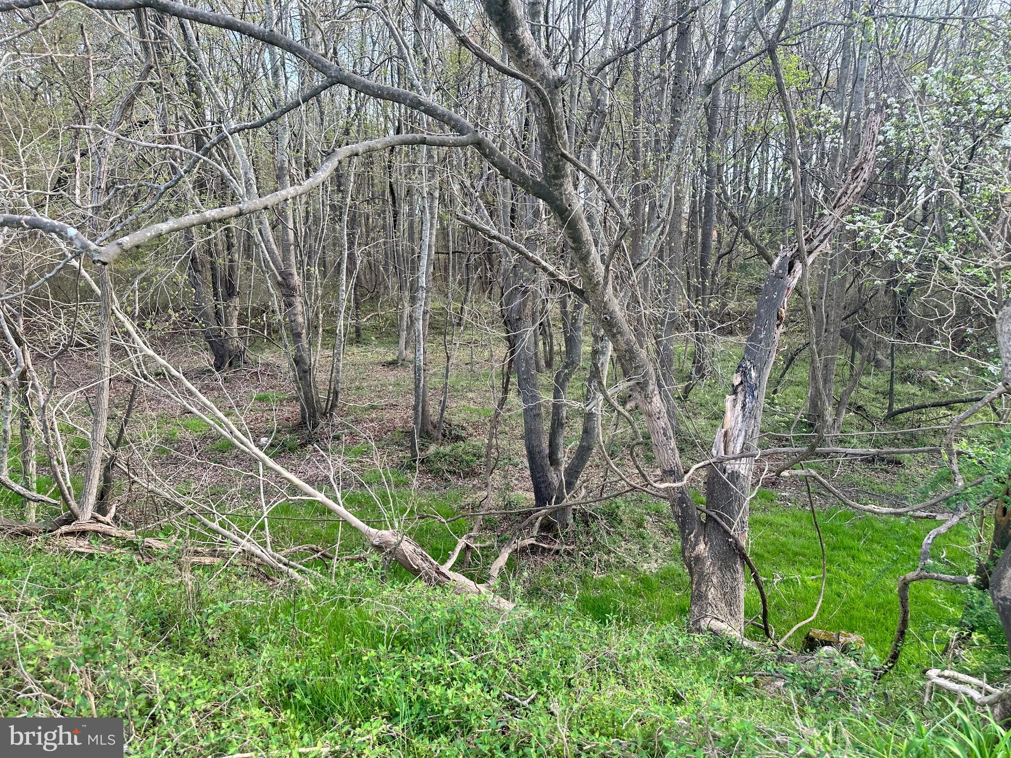 TRAPPE - Land