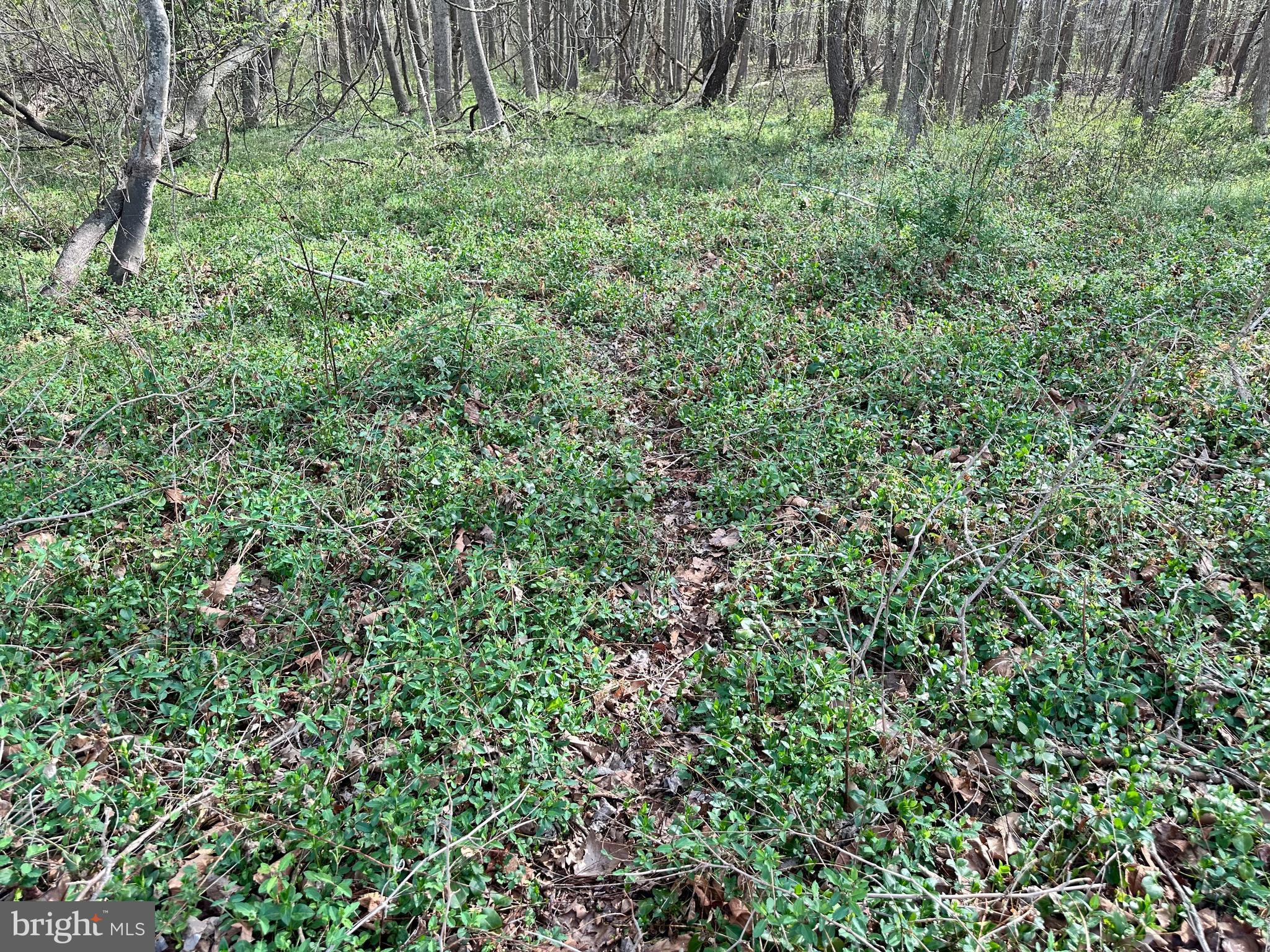TRAPPE - Land