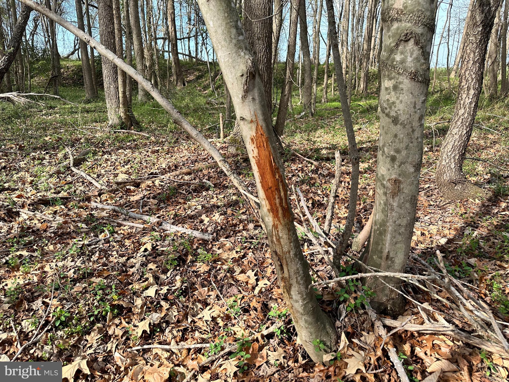 TRAPPE - Land