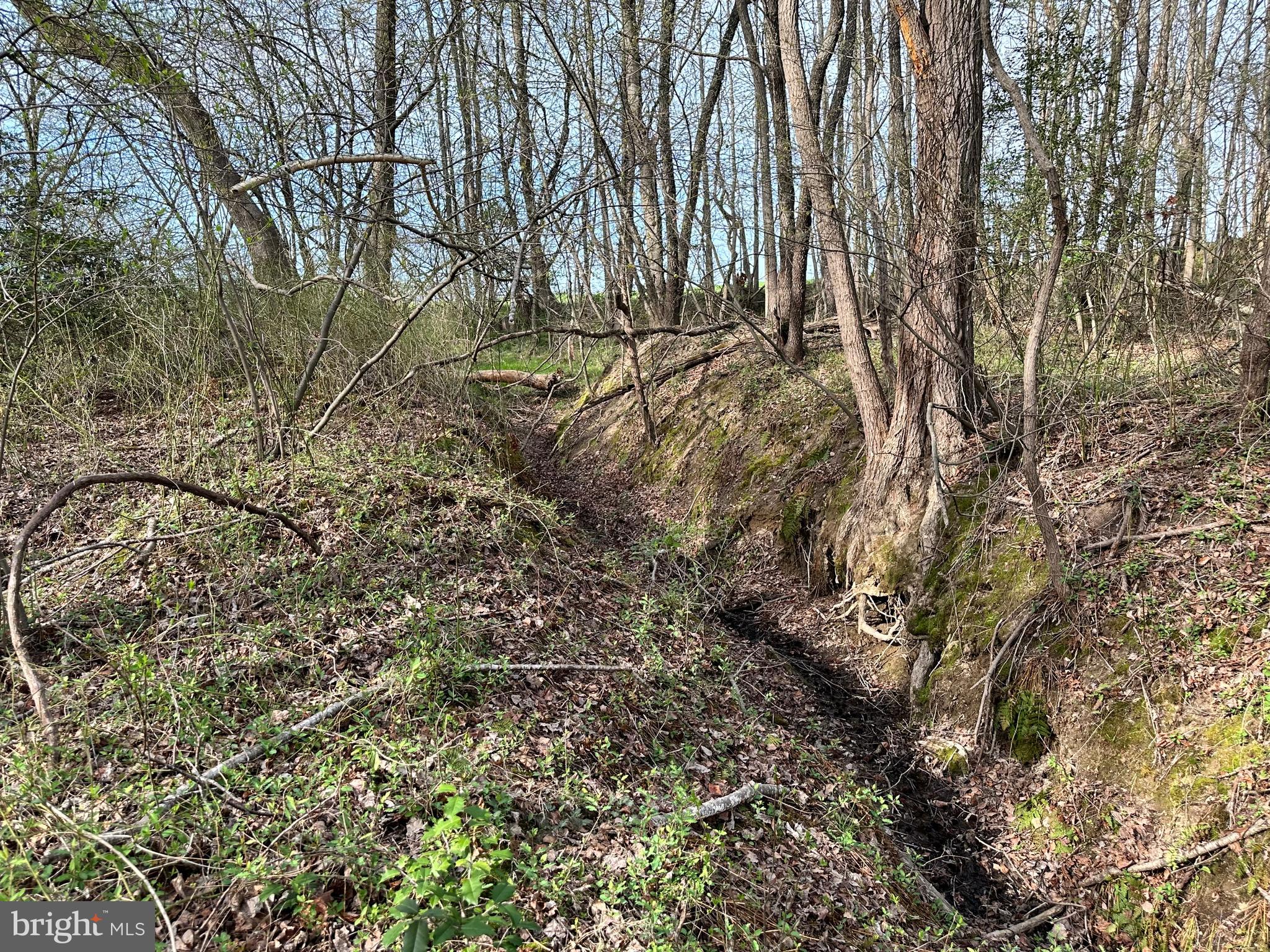 TRAPPE - Land