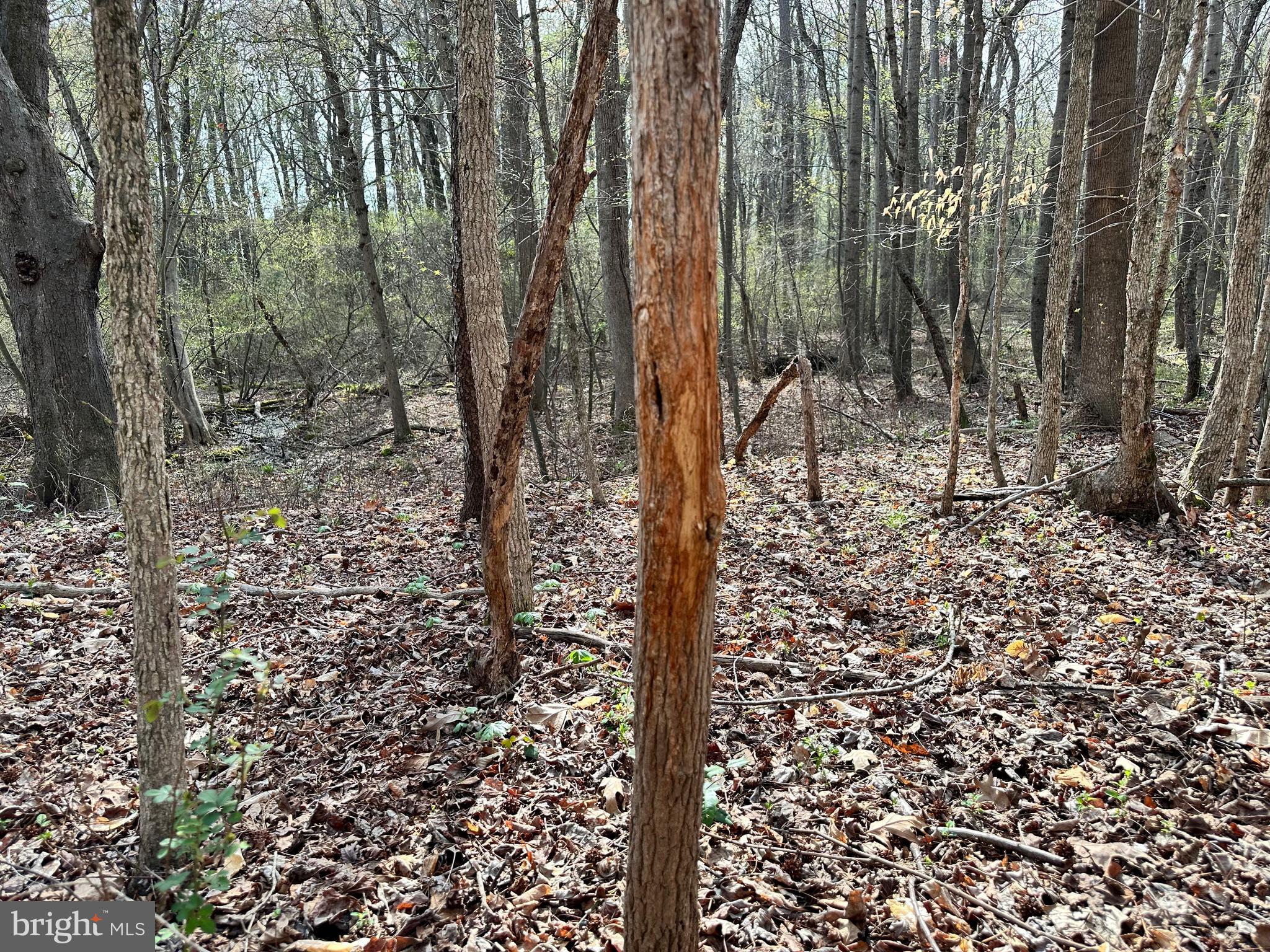 TRAPPE - Land