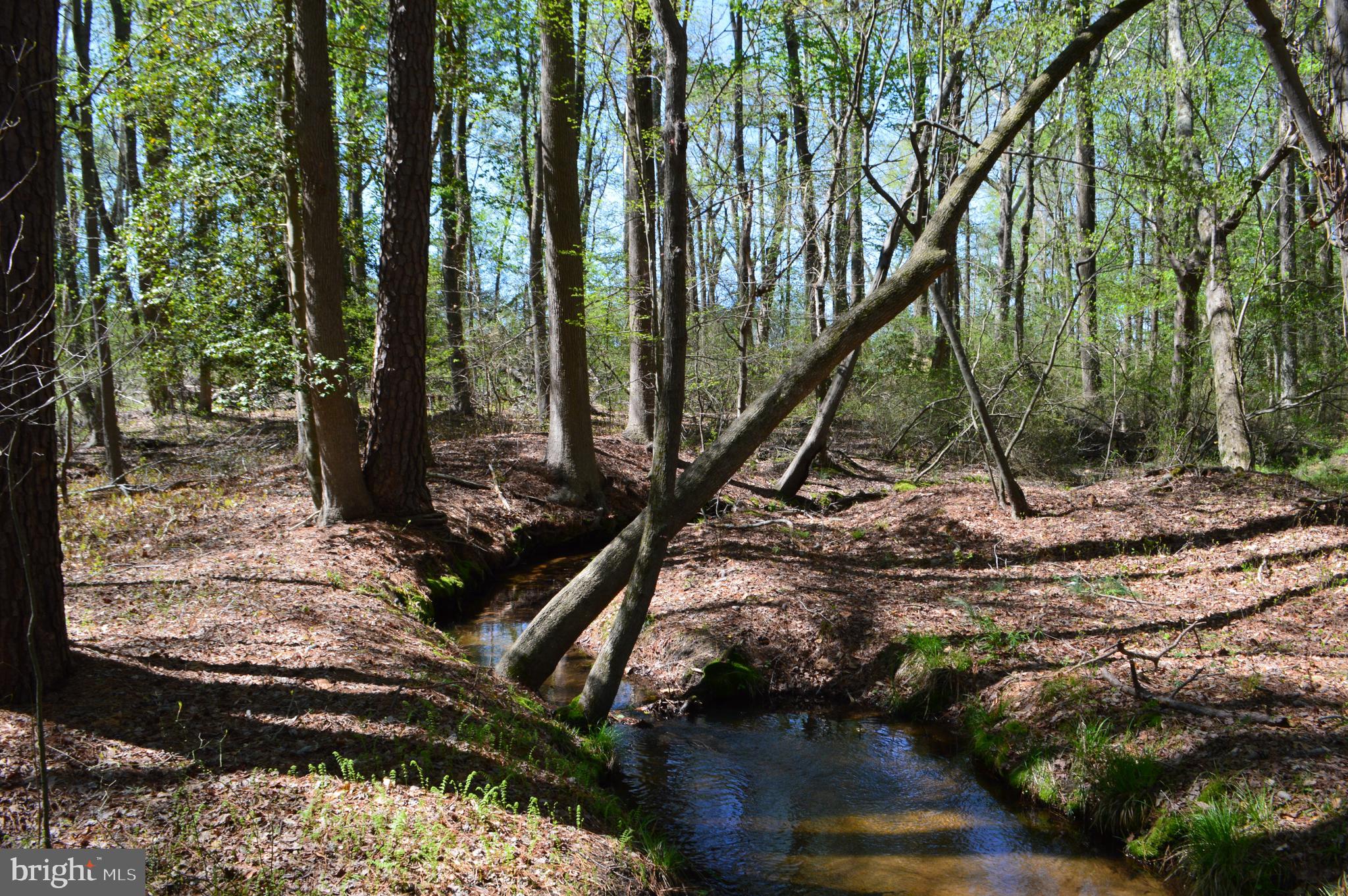TRAPPE - Land