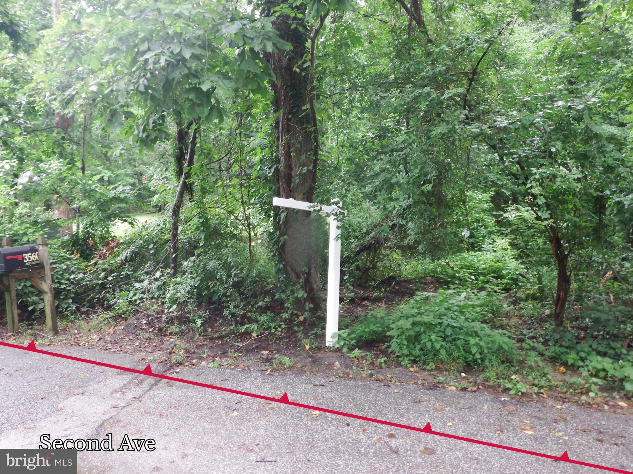 Main image without alt text