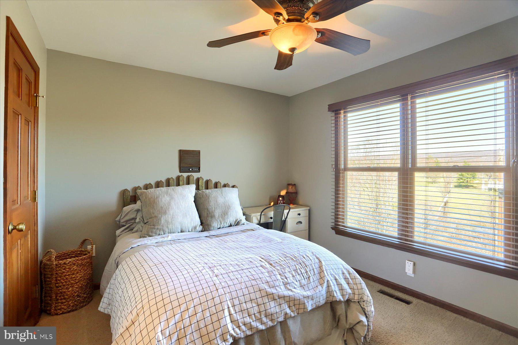 WINCHESTER PARK - Residential