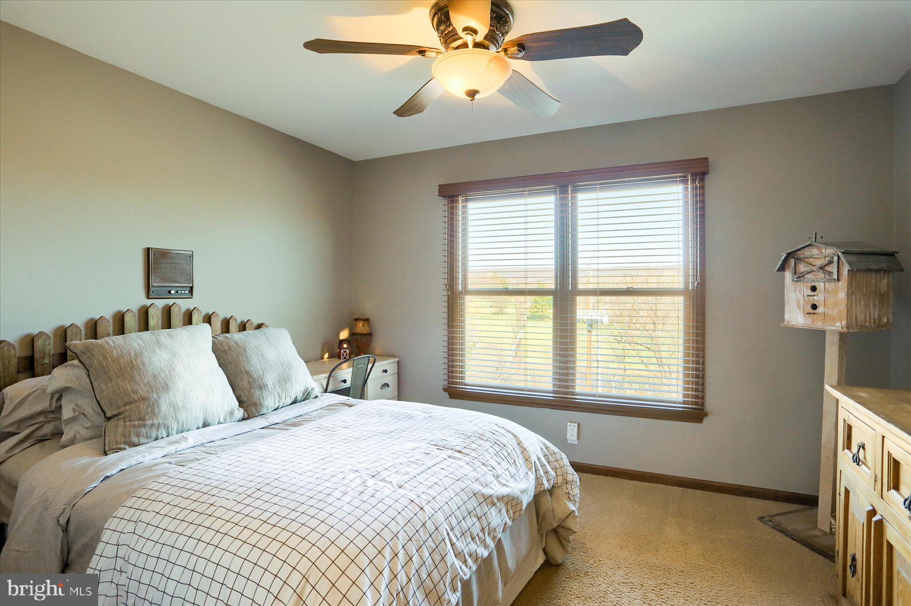 WINCHESTER PARK - Residential