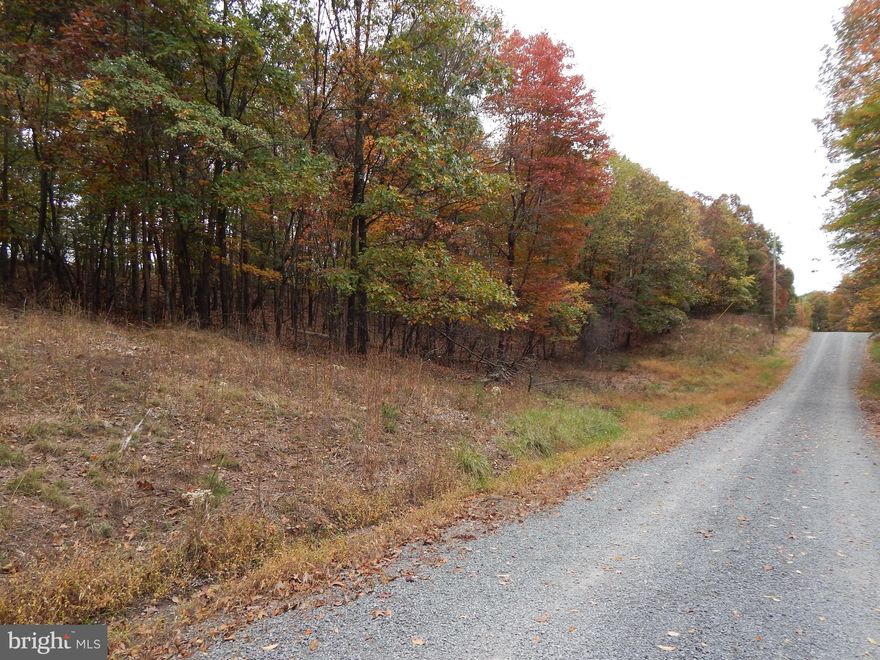 Very nice, mostly level, wooded lot situated South of Berkeley Springs, just 3 miles off 522 for easy access. Less than 4 miles to Cacapon State Park offering hiking, horseback riding, lake for swimming and fishing, golf, restaurant, pinic tables, pavillons and playground. 2.82 Acres with perk evaluation requiring a LPP  or a Wisconsin Sand Mound Sytem.