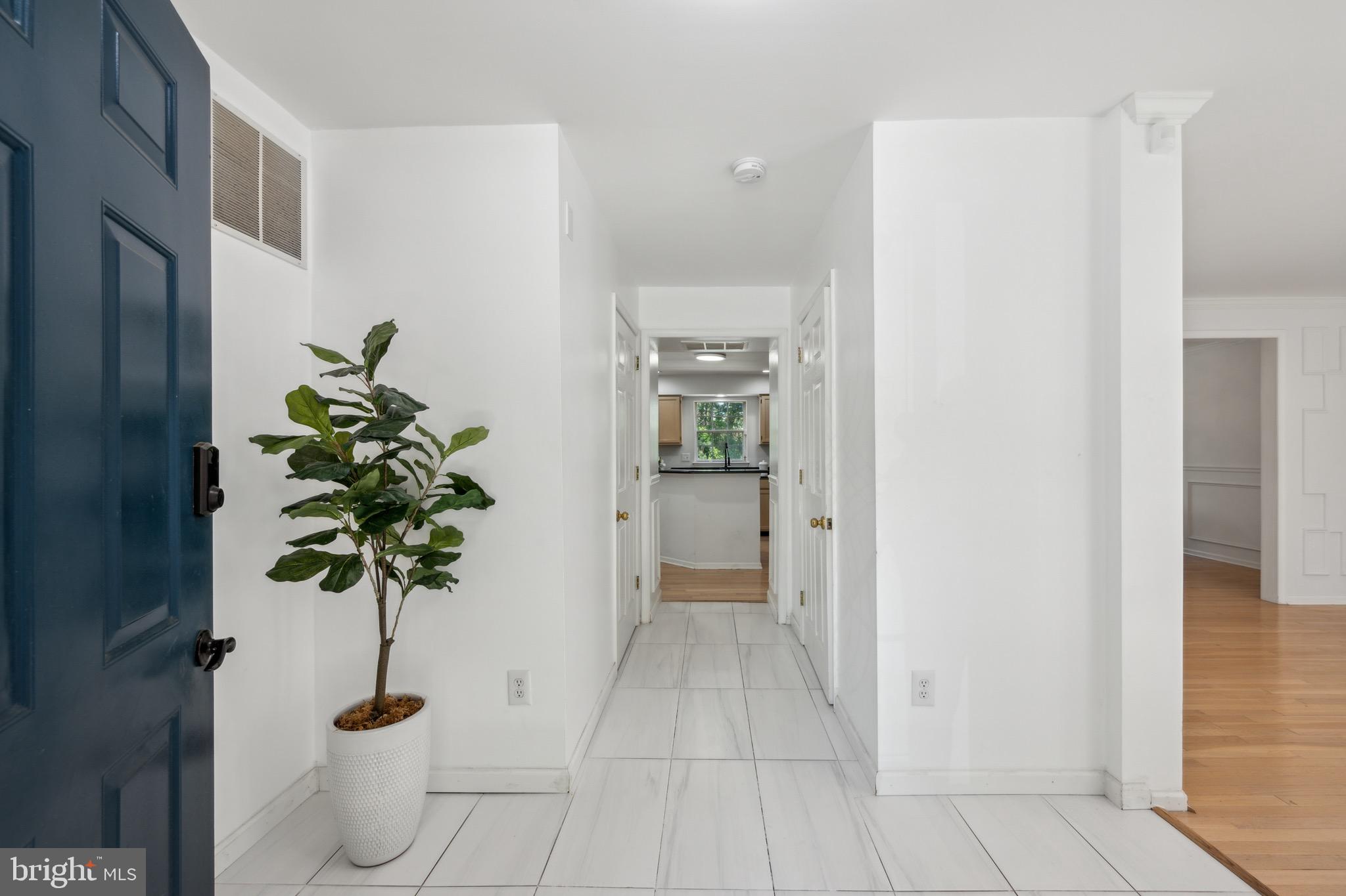 133 EUROPA BOULEVARD