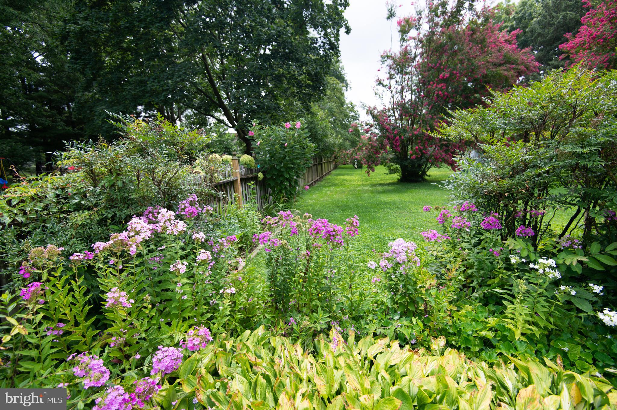 FEDERALSBURG - Residential