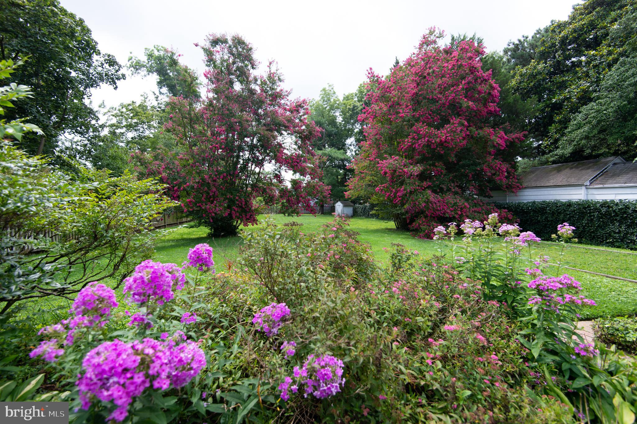 FEDERALSBURG - Residential