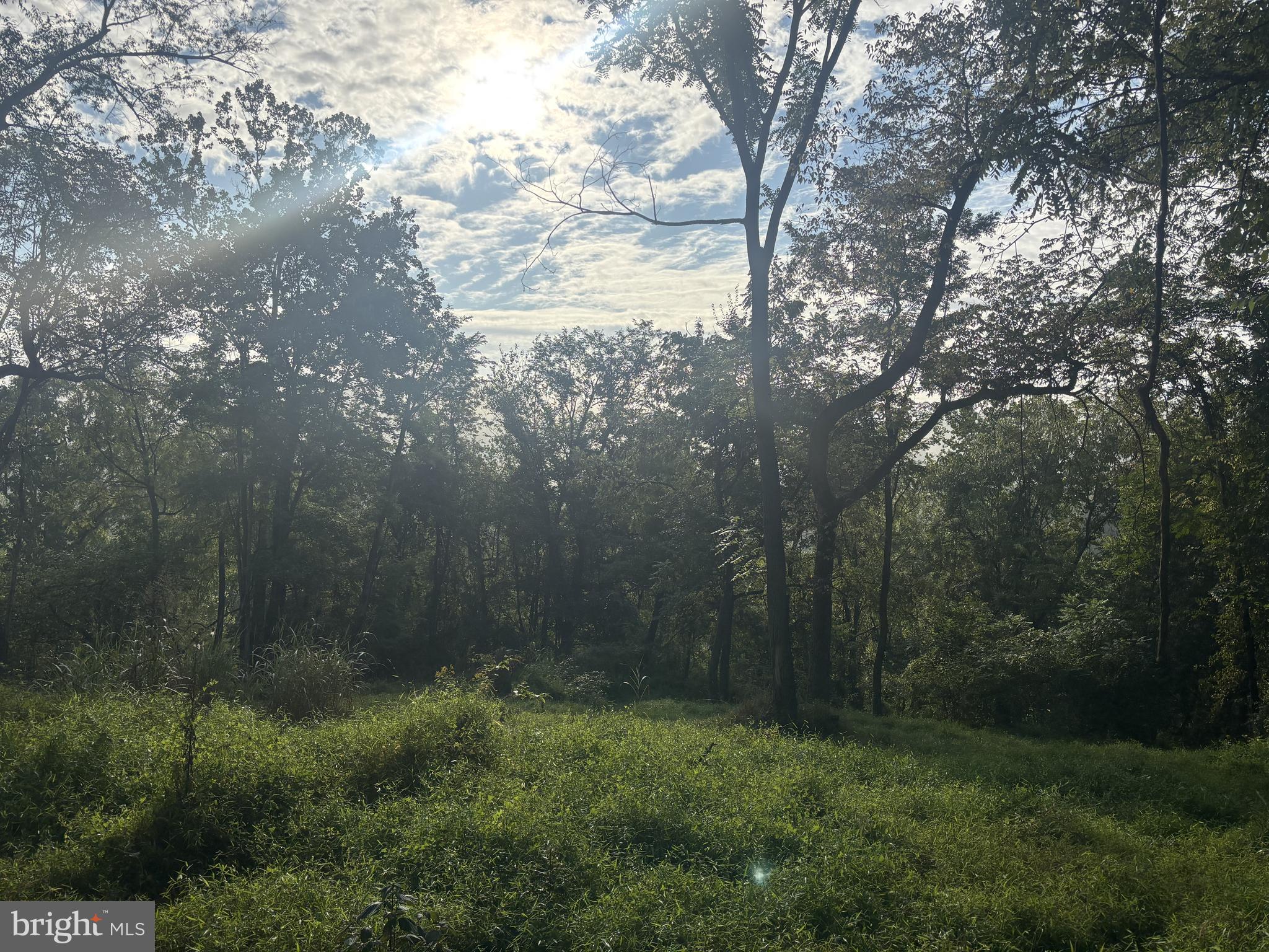 Lot 1 WOLFSVILLE ROAD