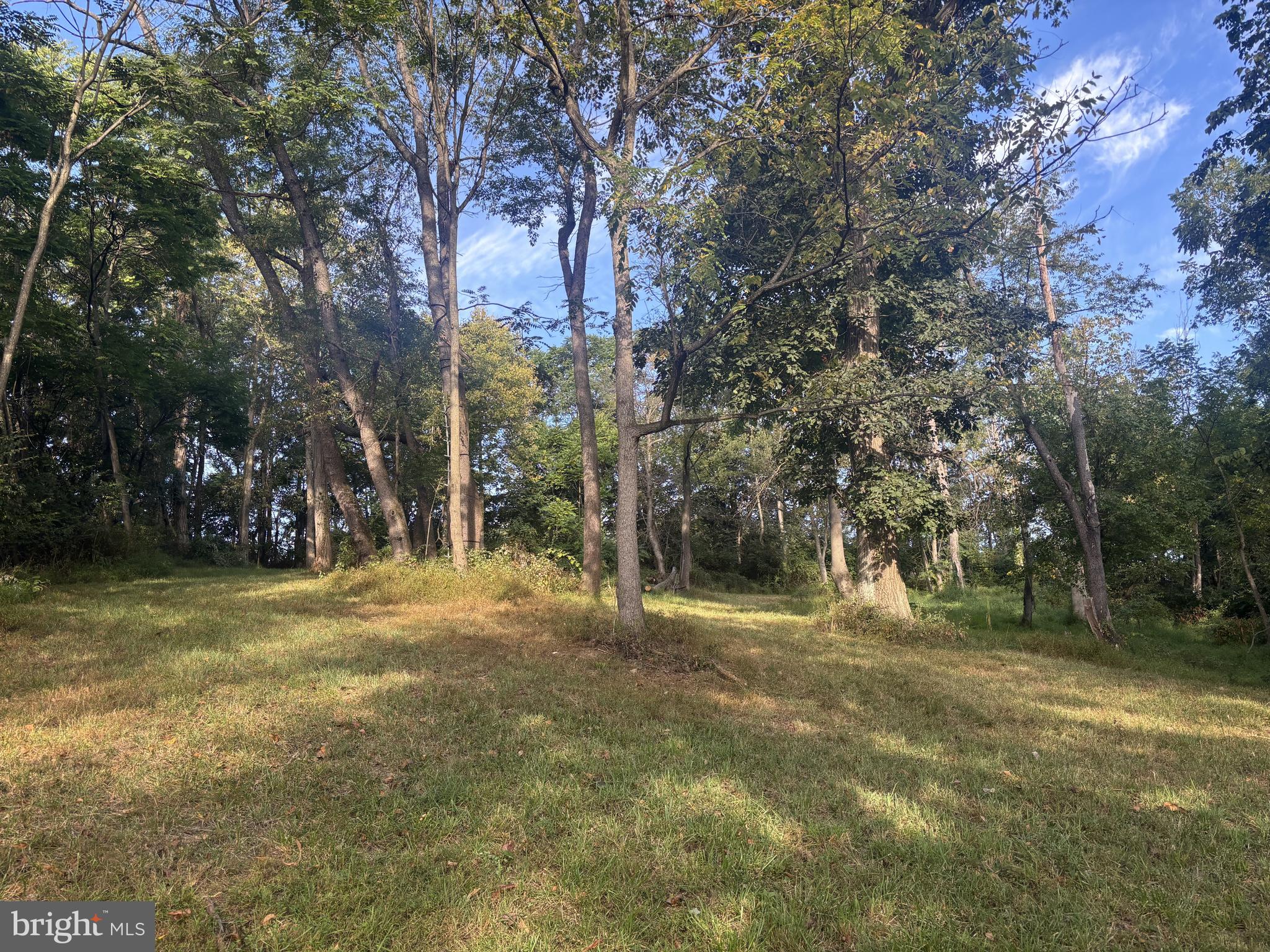 Lot 1 WOLFSVILLE ROAD