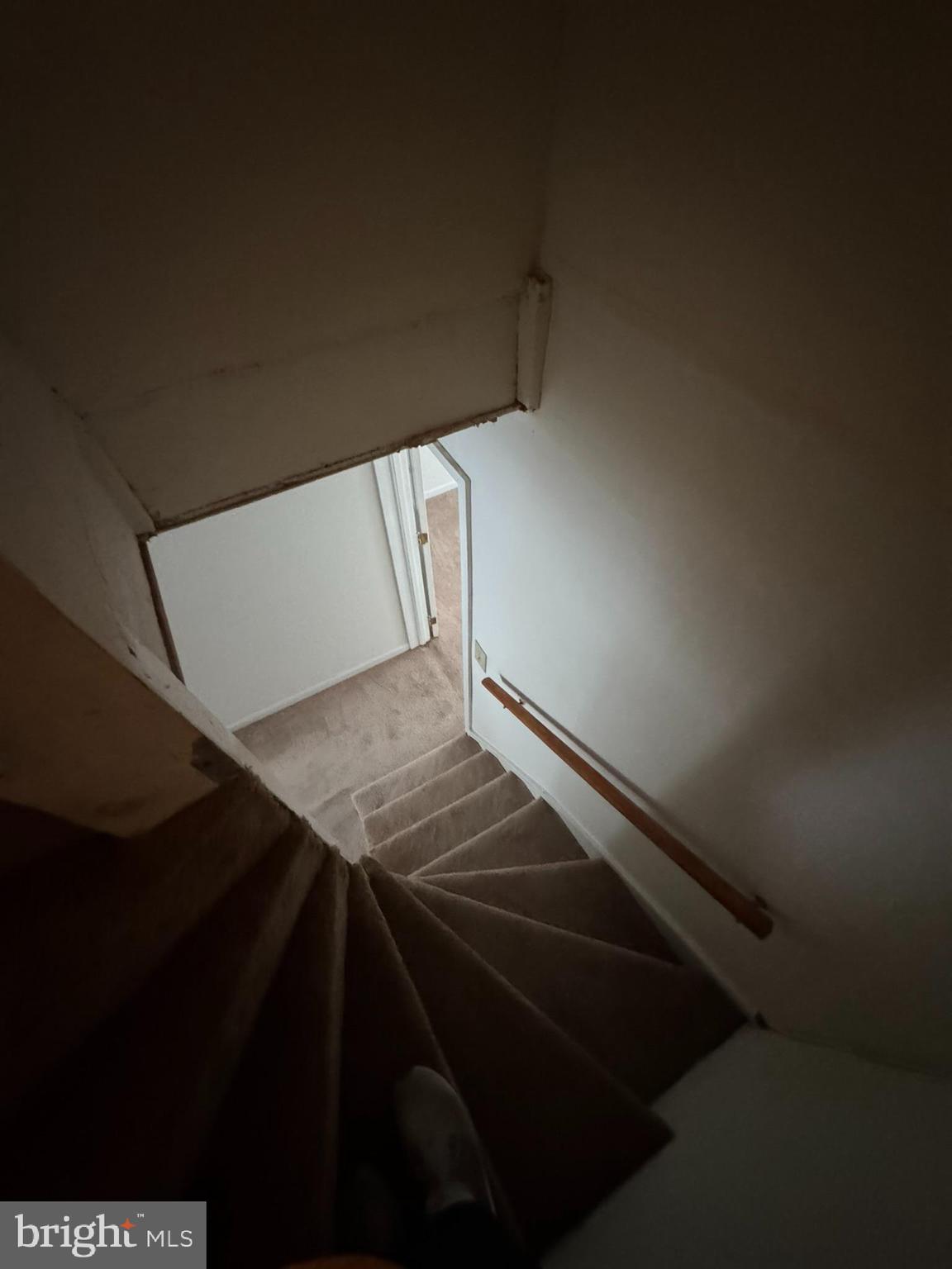 LITTLE ITALY - Residential Lease