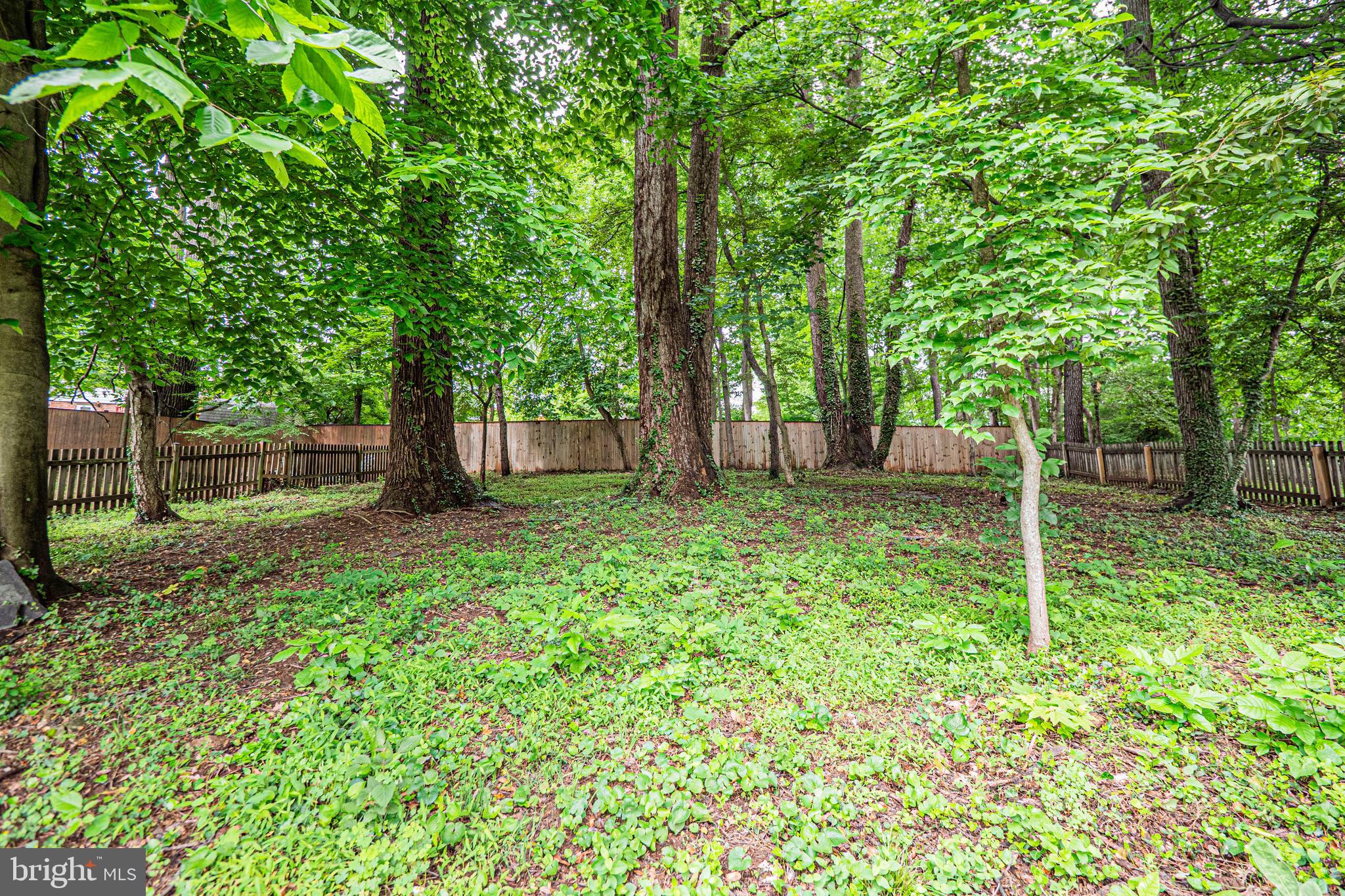 ROCK CREEK PALISADES - Residential