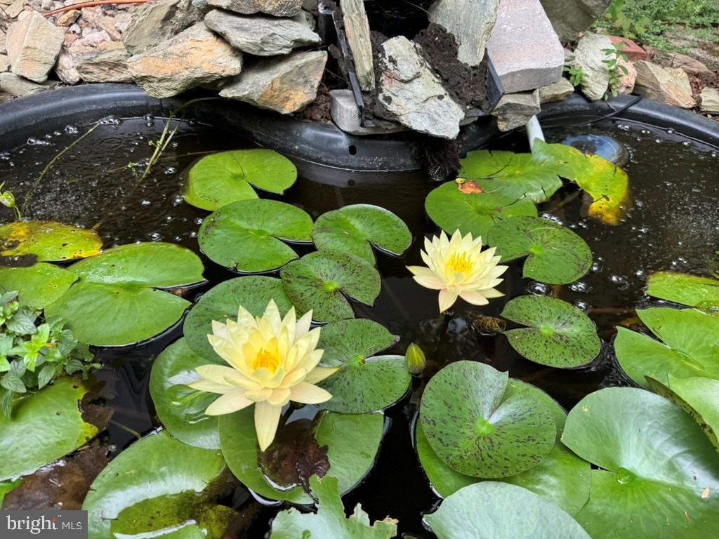 DUFIEF - Residential