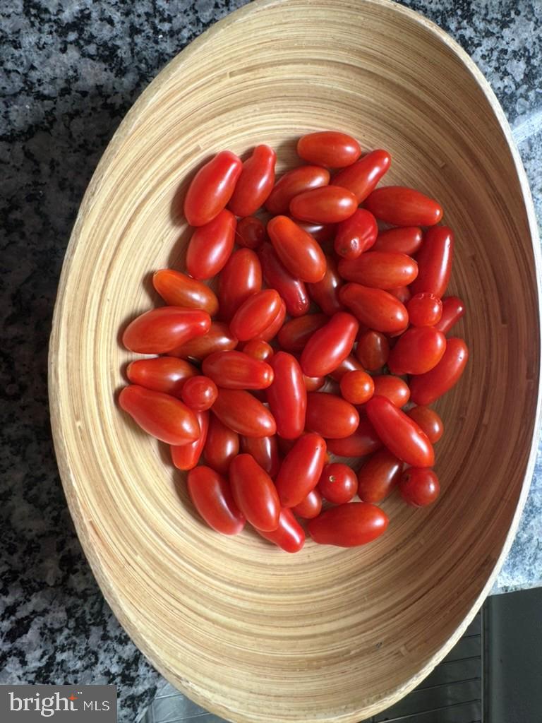 DUFIEF - Residential