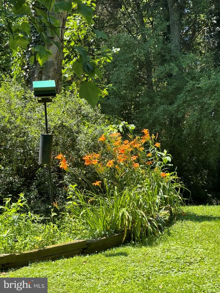 DUFIEF - Residential