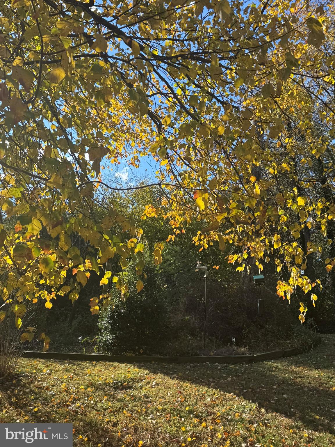 DUFIEF - Residential