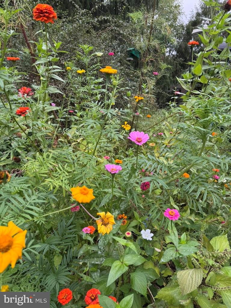 DUFIEF - Residential