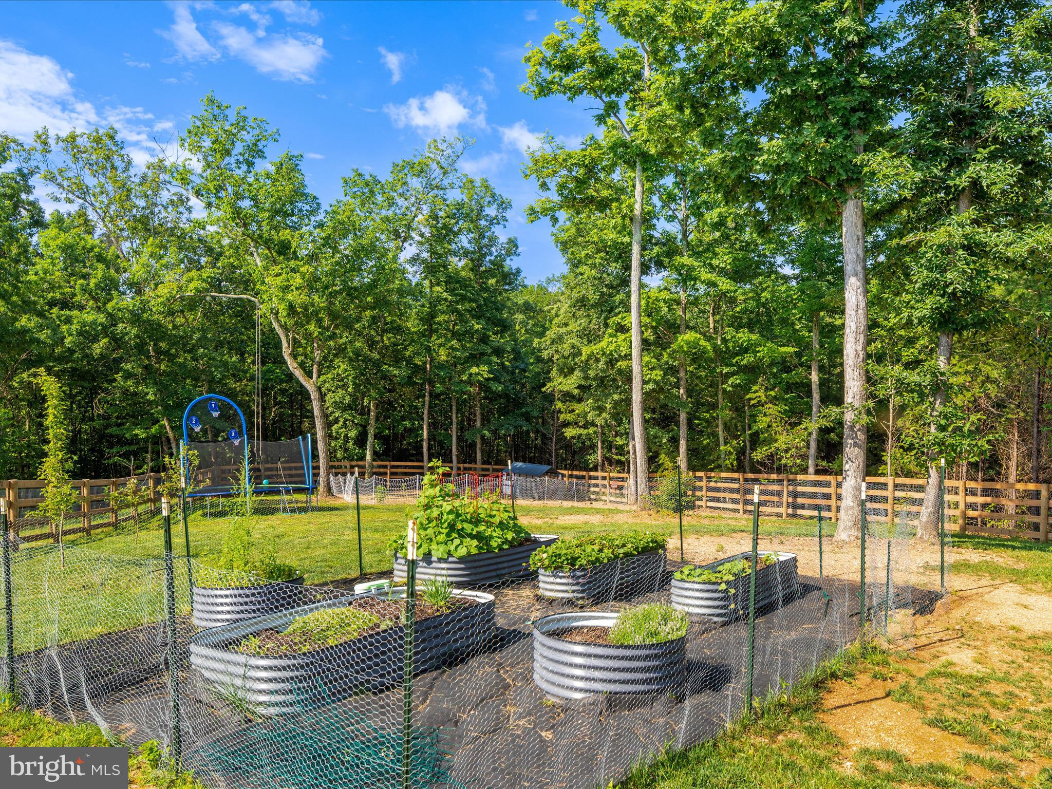 CHESTNUT HILL ESTATES - Residential