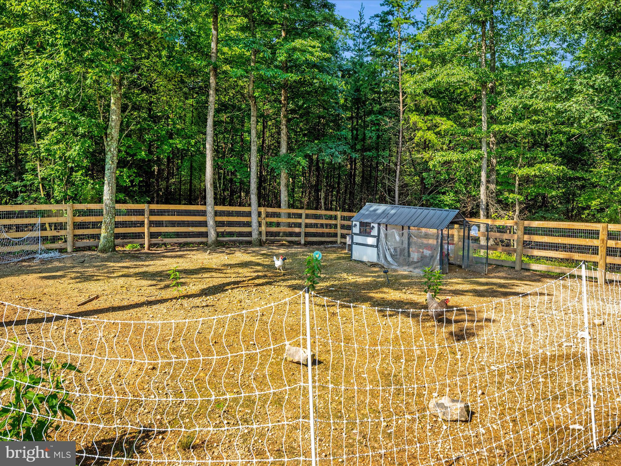 CHESTNUT HILL ESTATES - Residential