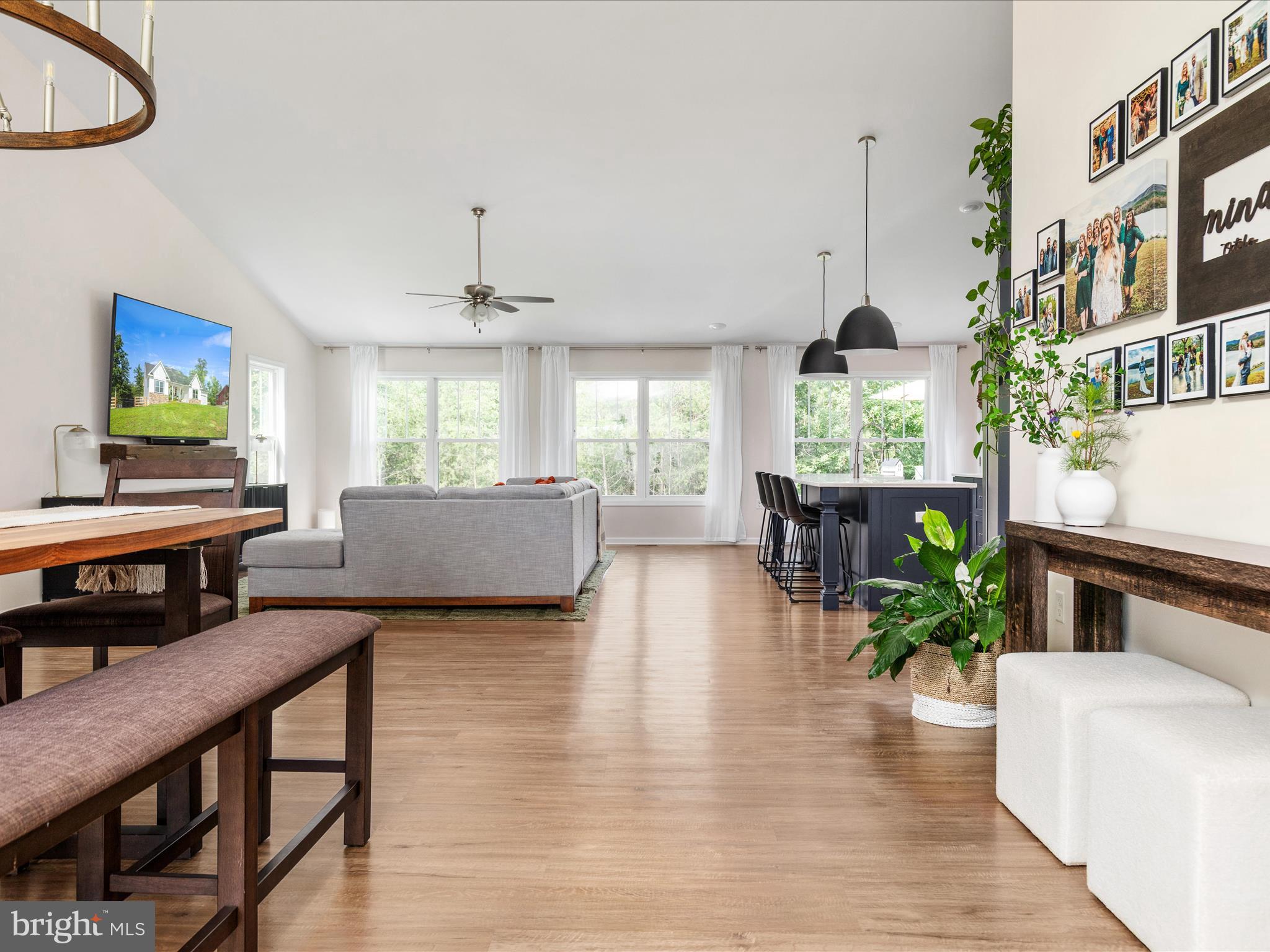 CHESTNUT HILL ESTATES - Residential