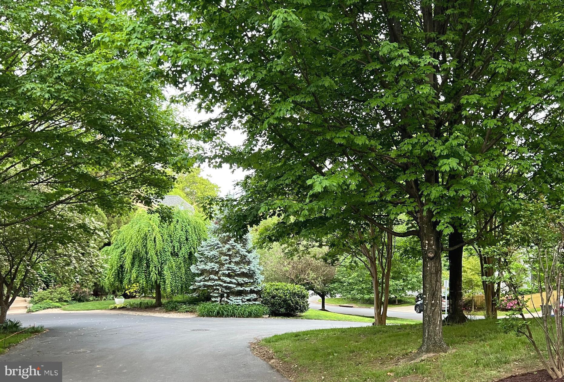 SOUTH WOODSIDE PARK - Residential