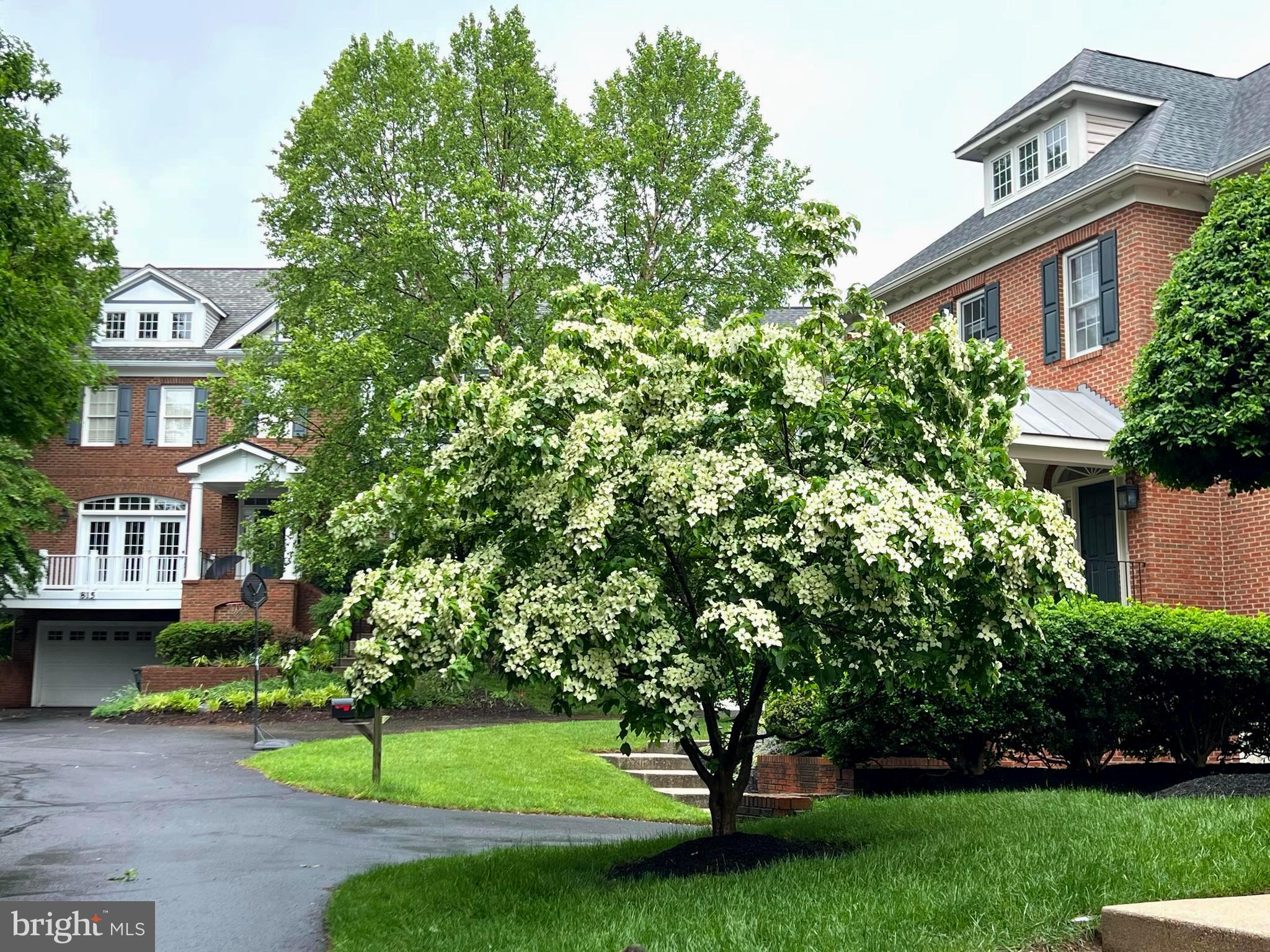 SOUTH WOODSIDE PARK - Residential