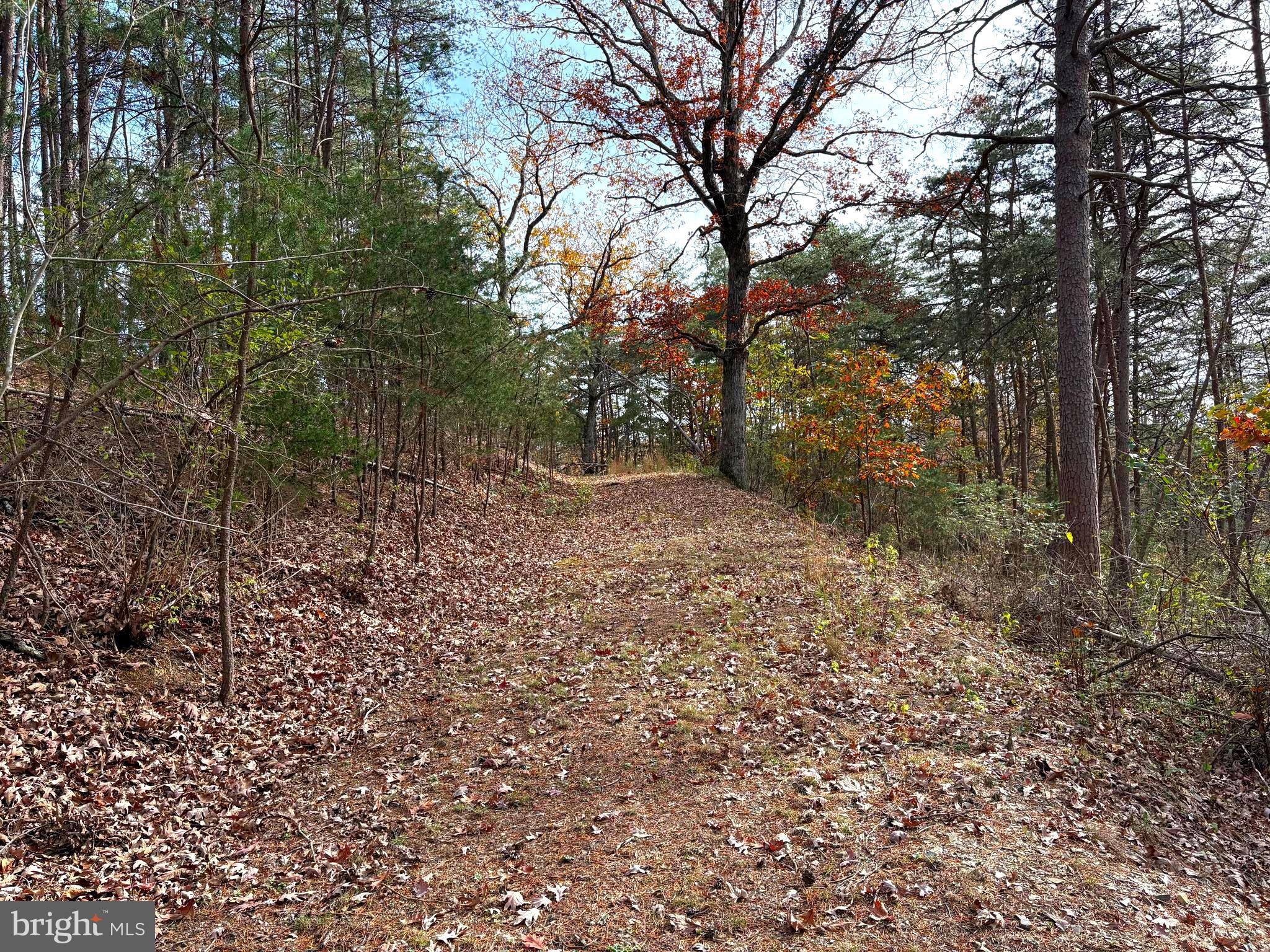 6.92 AC PURGITSVILLE PIKE