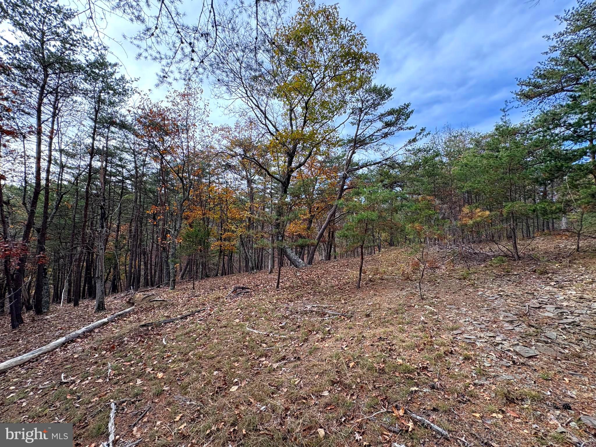 6.92 AC PURGITSVILLE PIKE