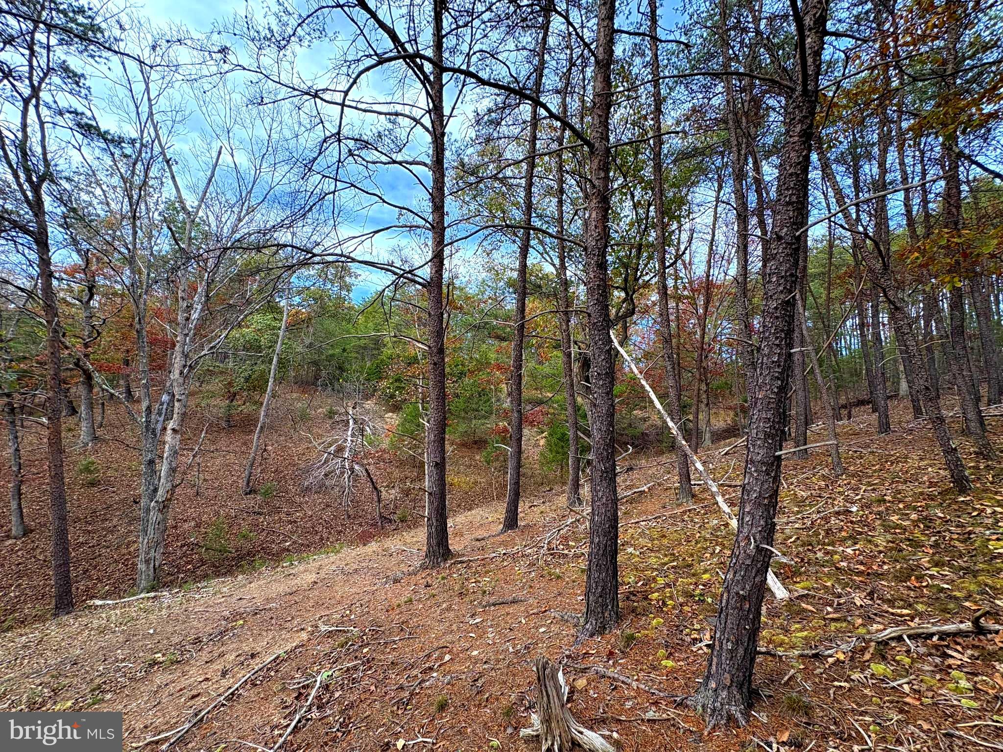 6.92 AC PURGITSVILLE PIKE