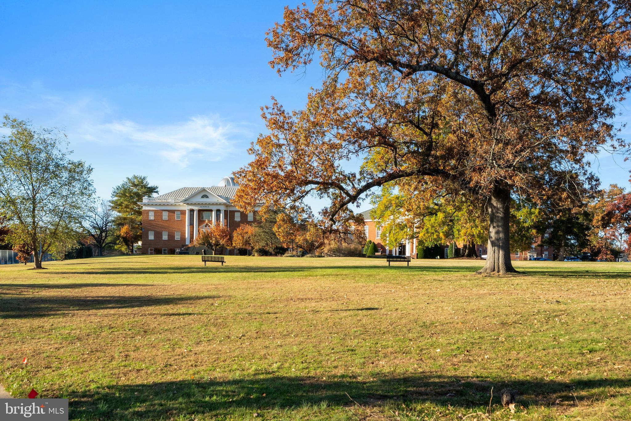 7610 CARROLL AVENUE 310