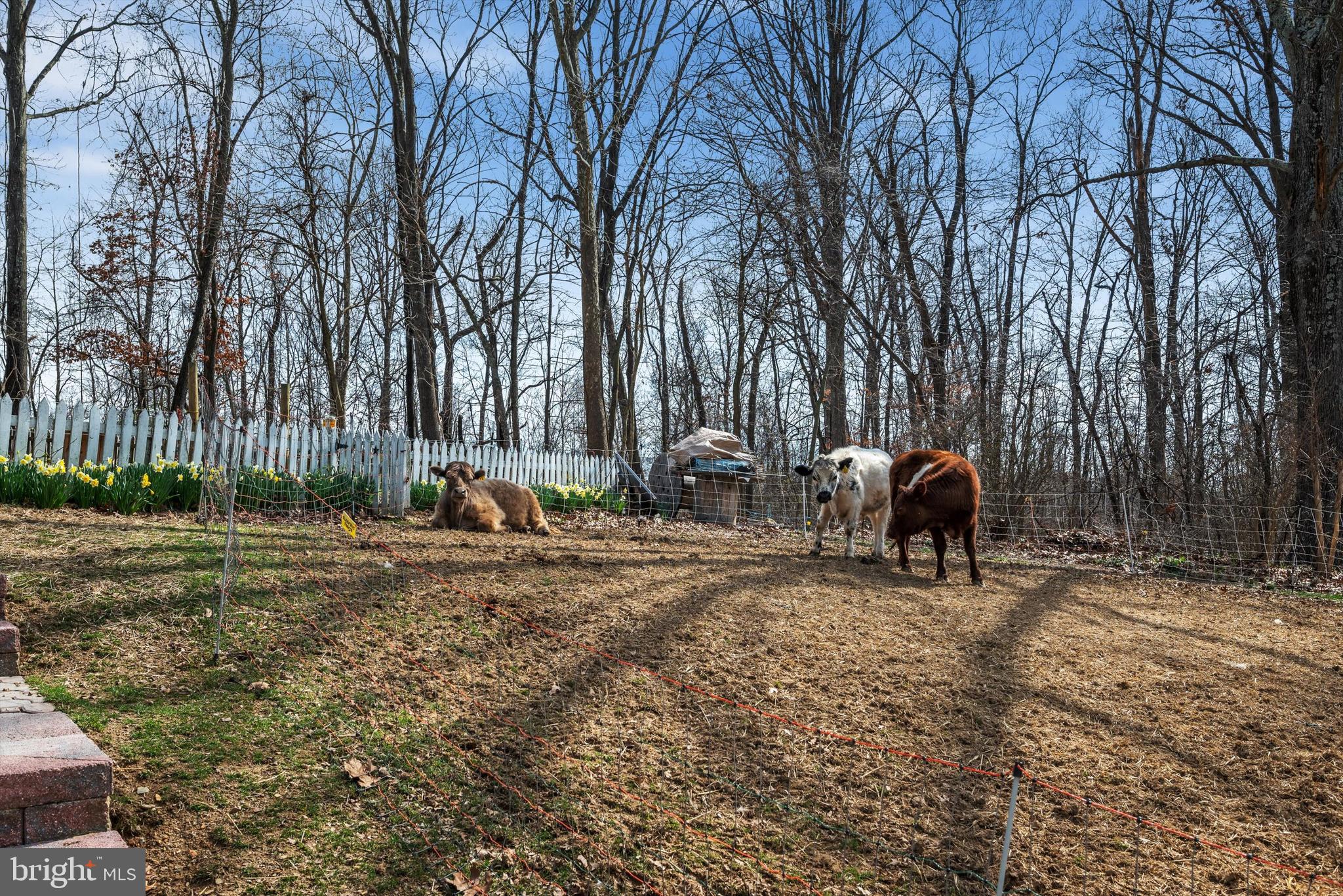 OAK HILL - Residential