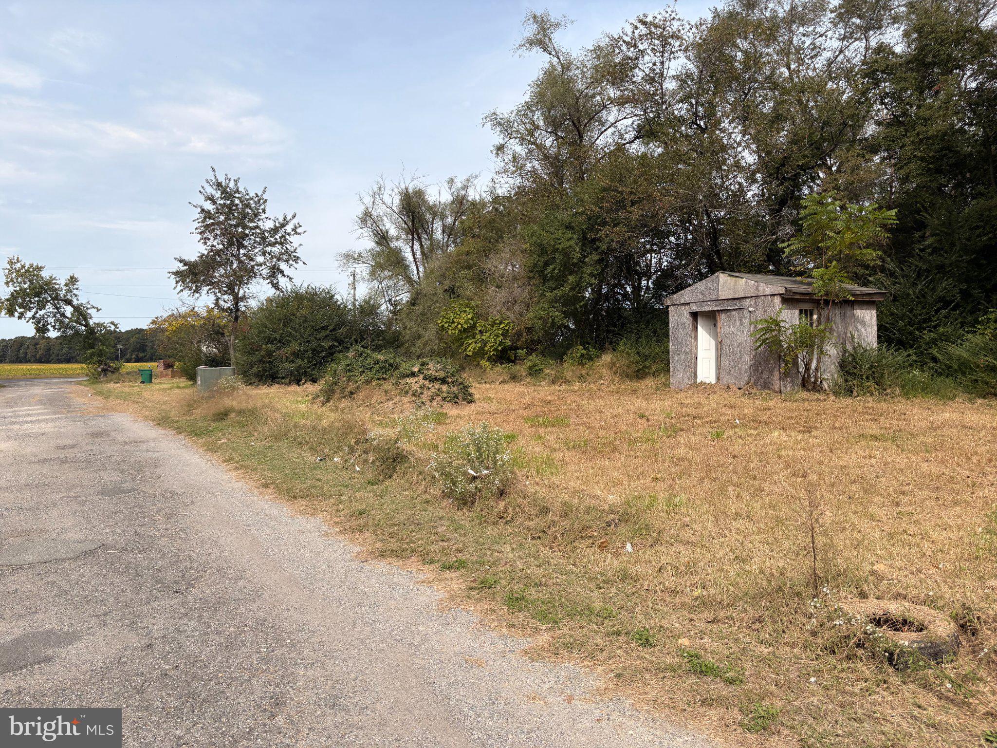 12261 CAMELLIA LANE