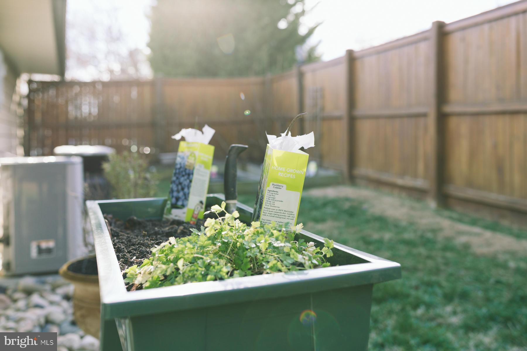 MUNSON HILL - Residential