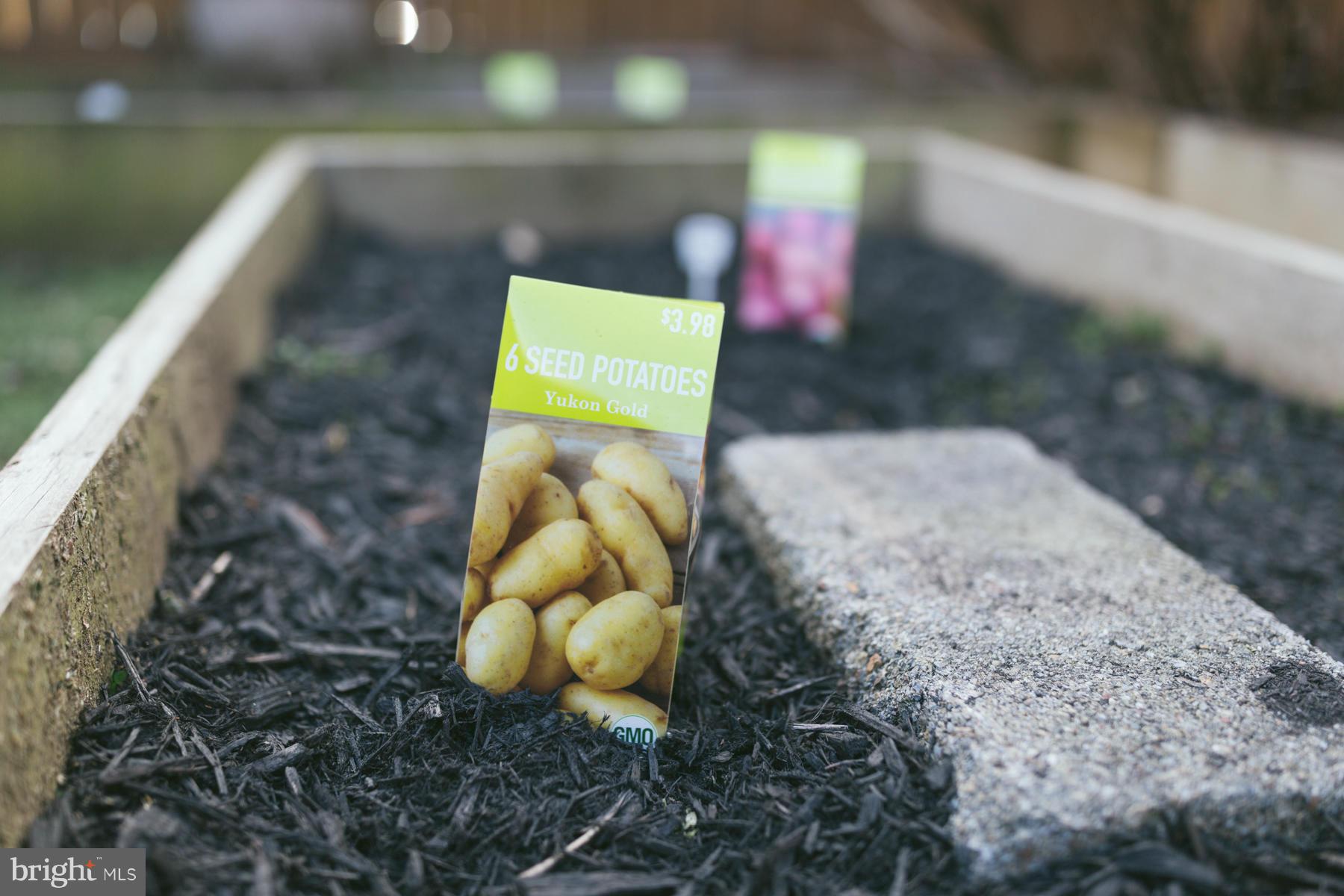 MUNSON HILL - Residential