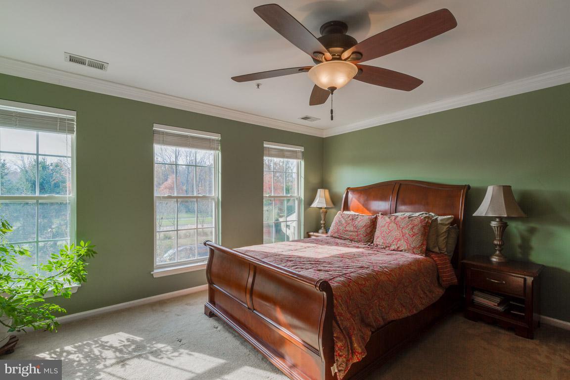 AMBER SPRING - Residential