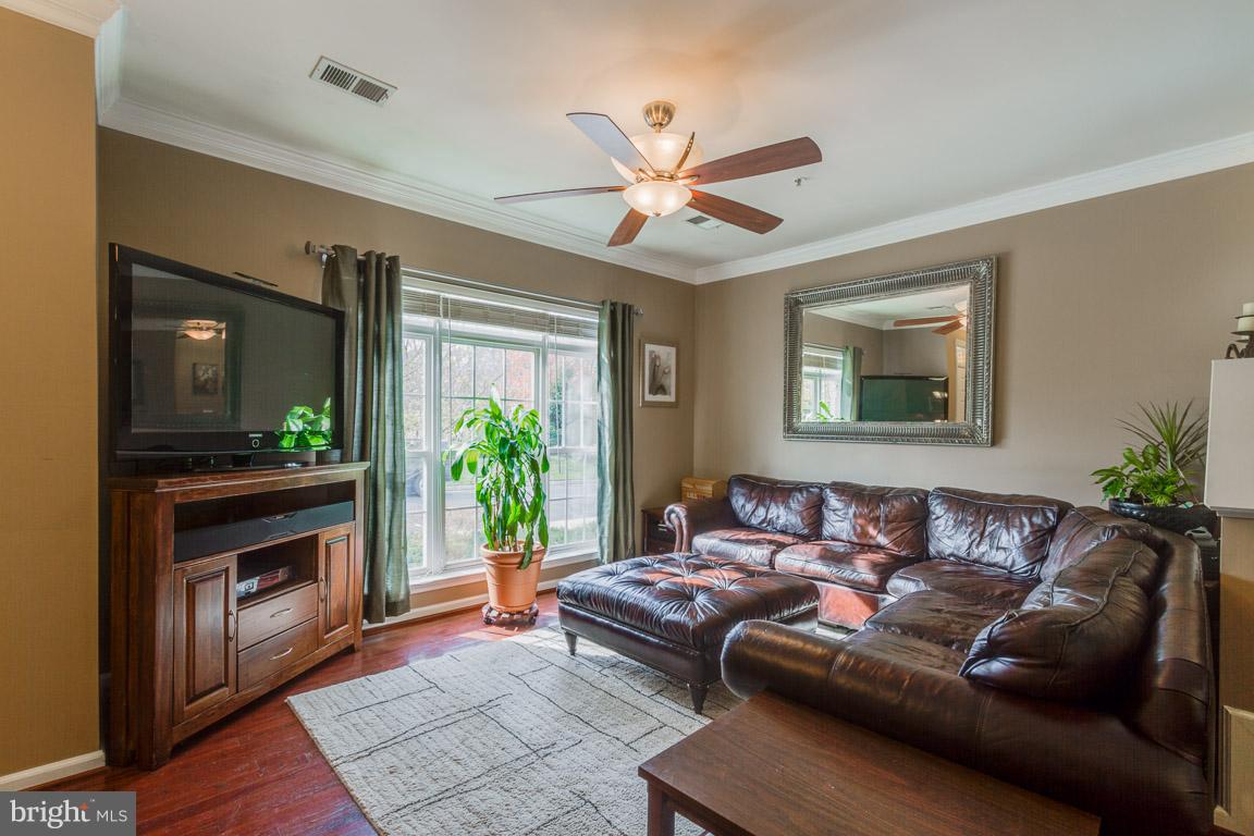 AMBER SPRING - Residential