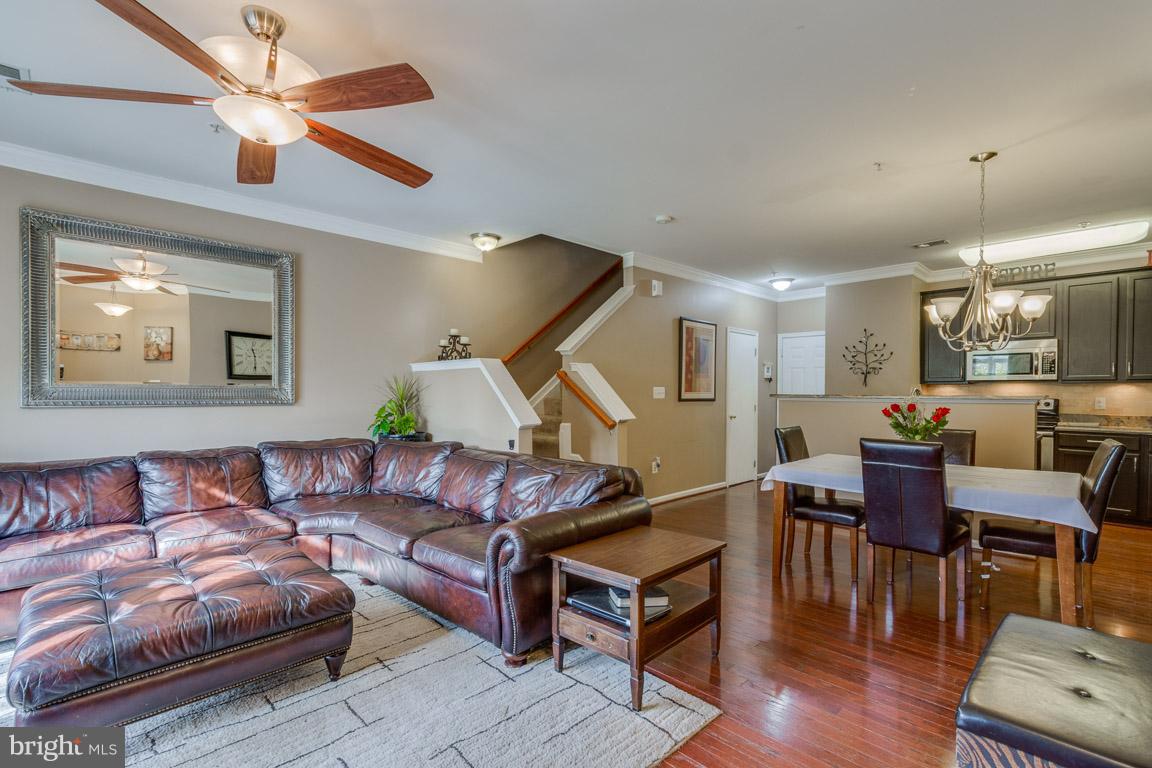 AMBER SPRING - Residential