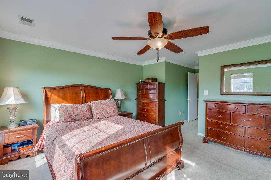 AMBER SPRING - Residential