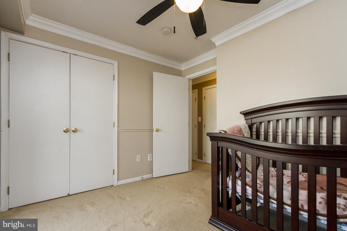 AMBER SPRING - Residential