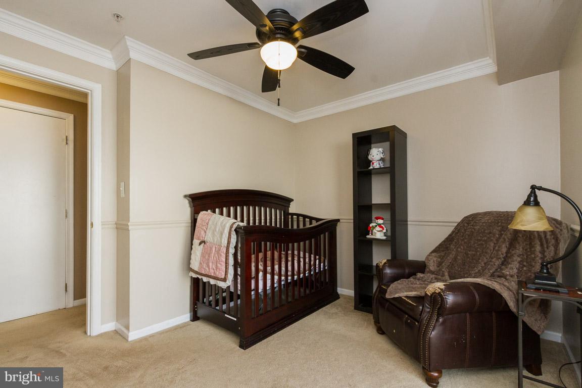 AMBER SPRING - Residential