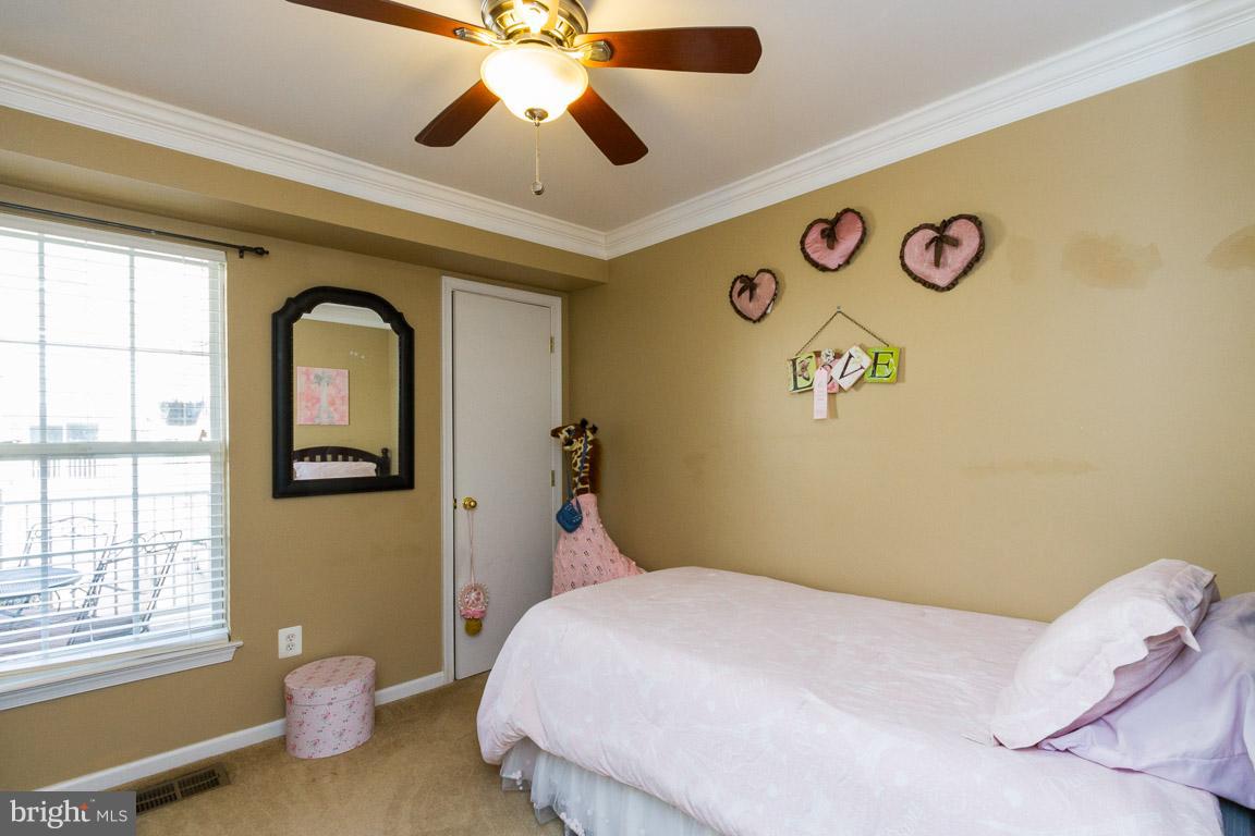 AMBER SPRING - Residential