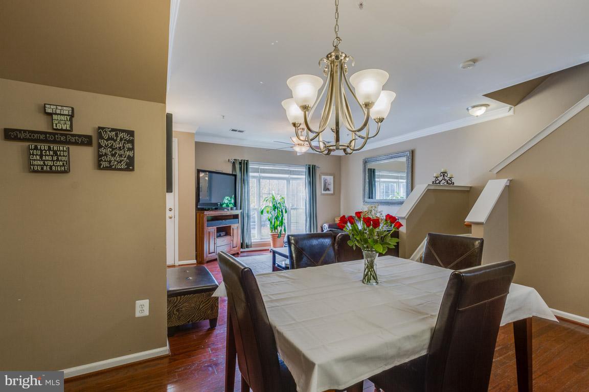 AMBER SPRING - Residential