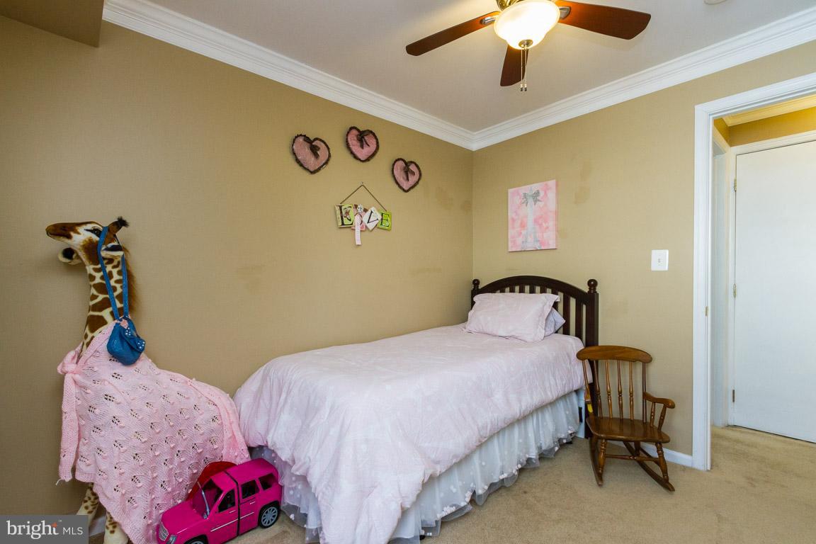 AMBER SPRING - Residential