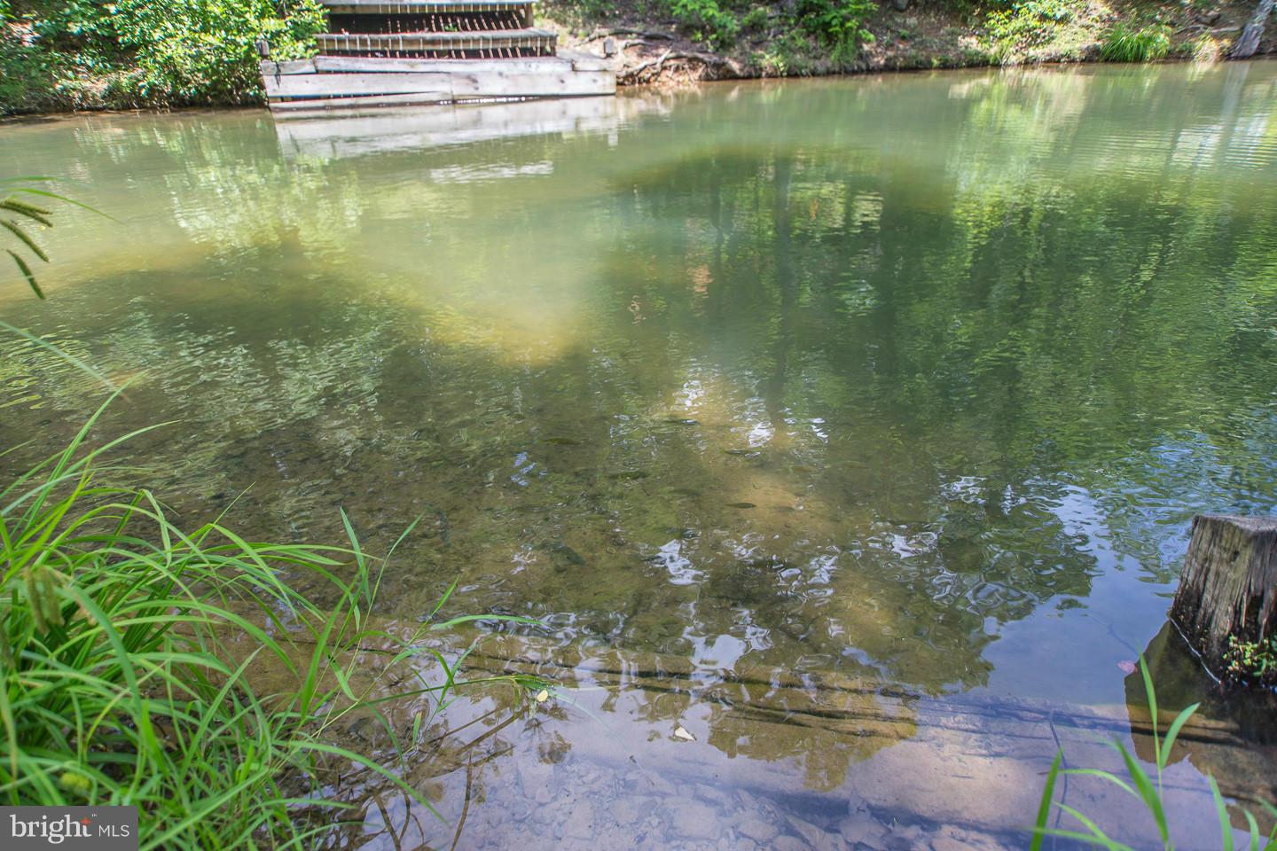 LAKE HOLIDAY ESTATES - Residential