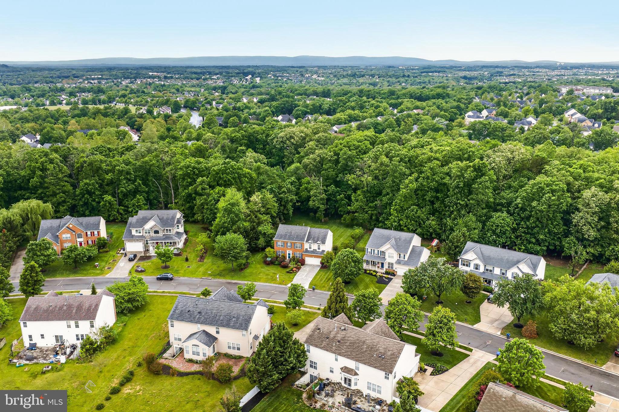 BLUE SPRING FARM - Residential