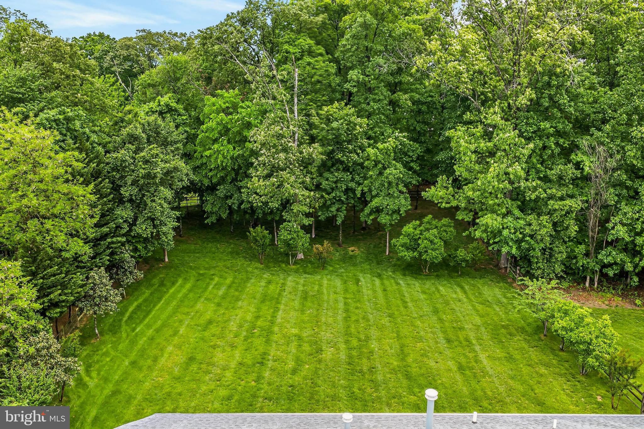 BLUE SPRING FARM - Residential