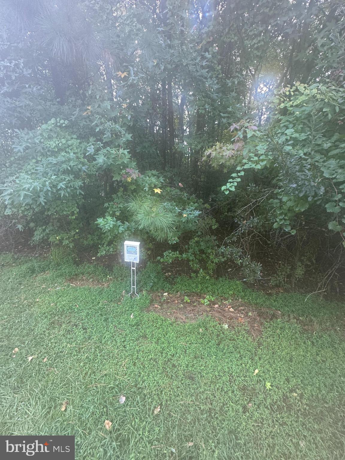 OCEAN PINES - WHITETAIL SANCTUARY - Land