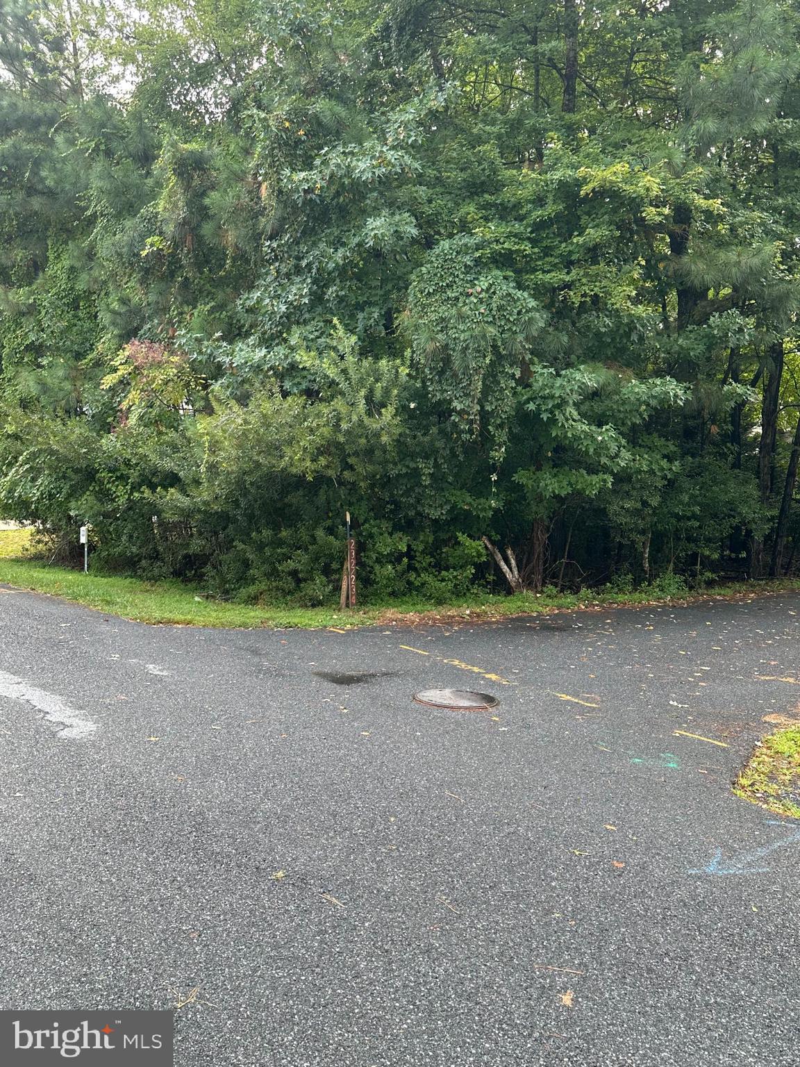 OCEAN PINES - WHITETAIL SANCTUARY - Land