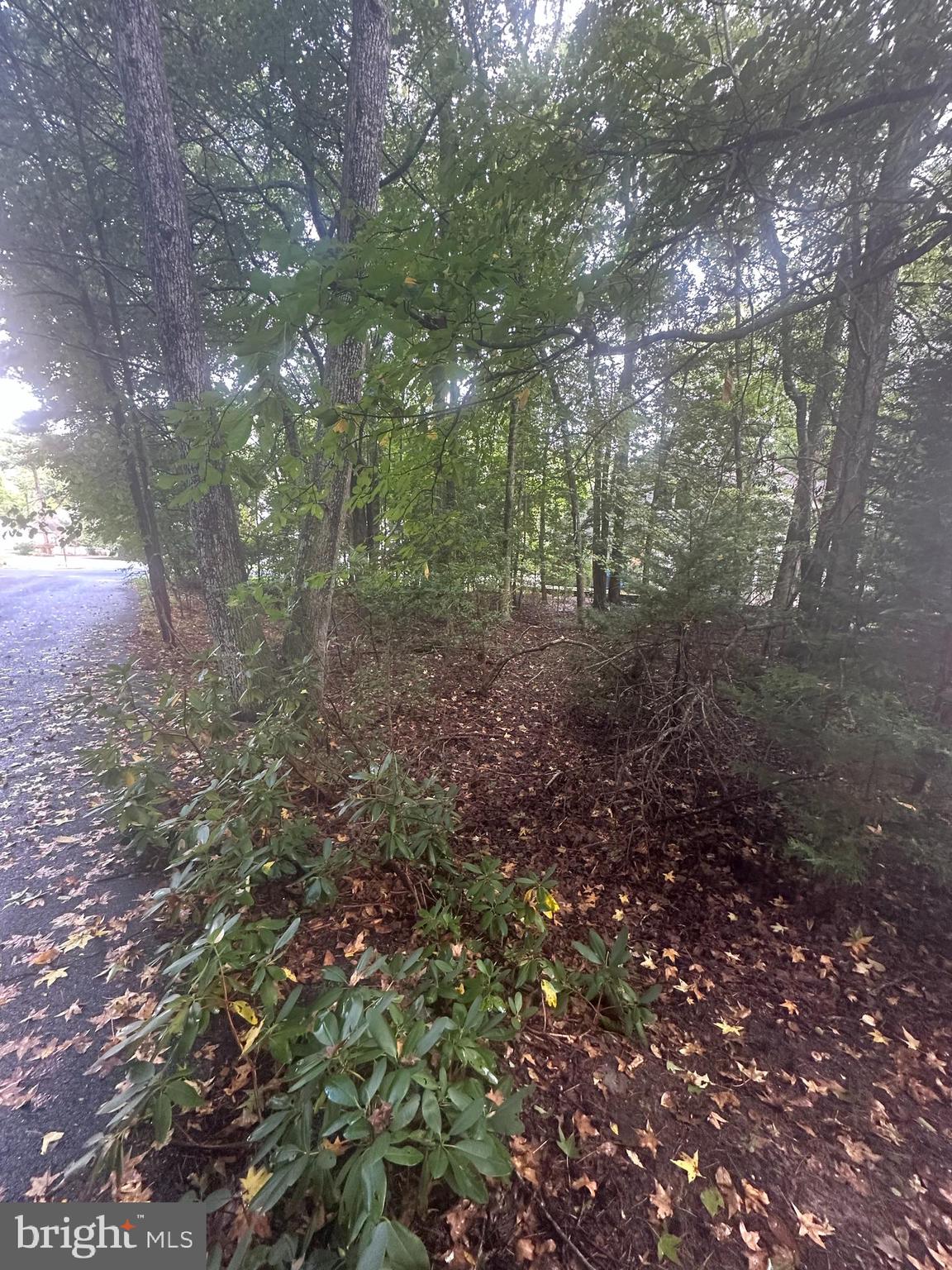 OCEAN PINES - WHITETAIL SANCTUARY - Land